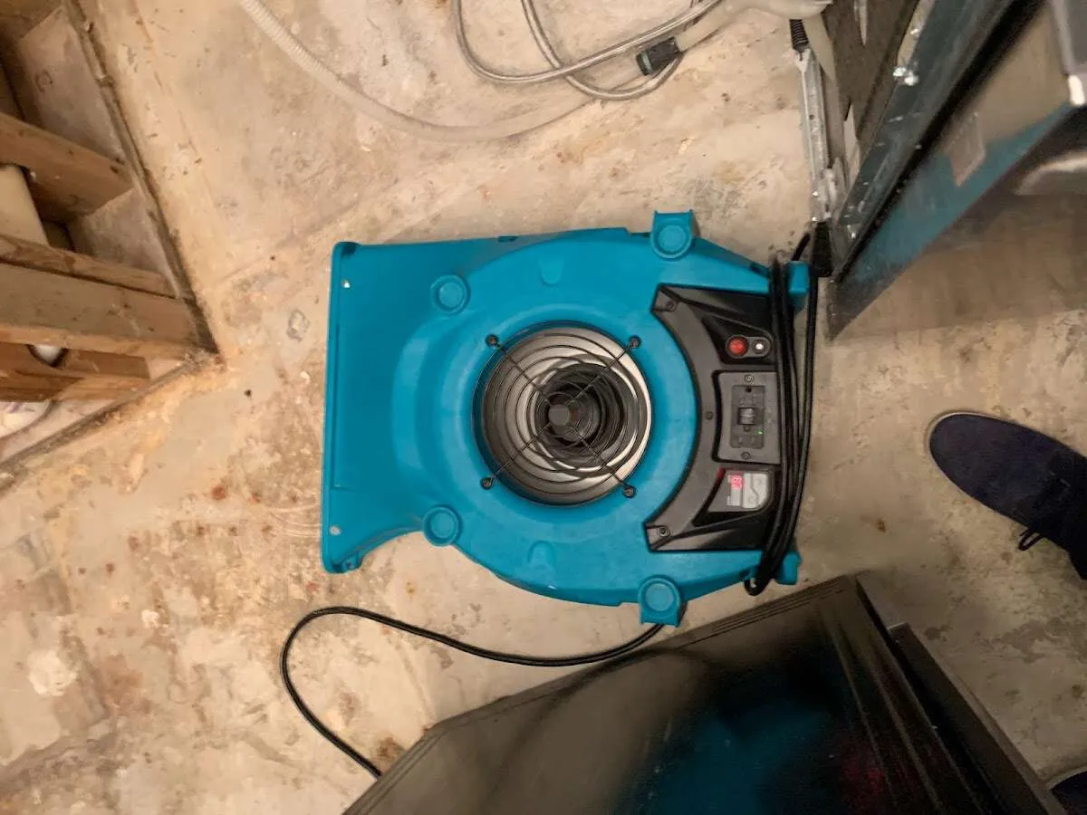 Air mover drying equipment for Mold Remediation & Removal in Glenn Heights